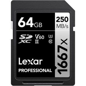 LEXAR Professional 64GB SDXC UHS-II 1667x
